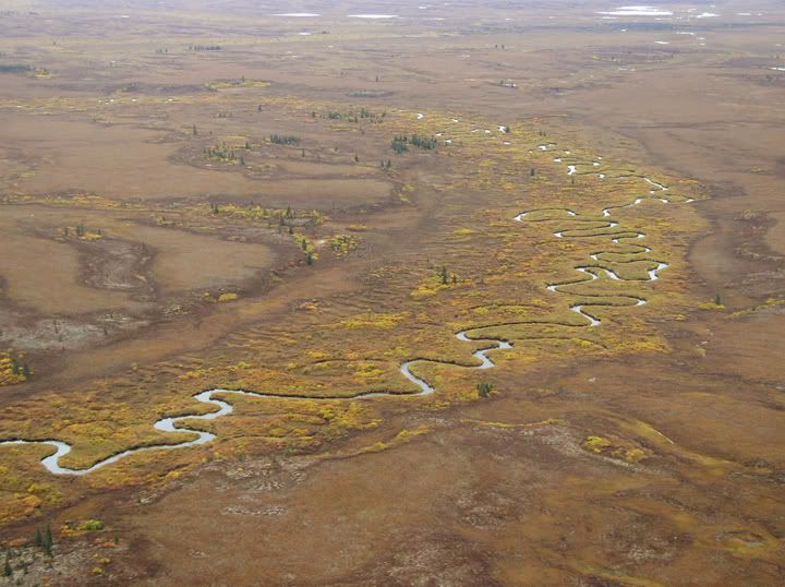 New Stuyahok, AK a village in the Alaskan bush SkyscraperPage Forum